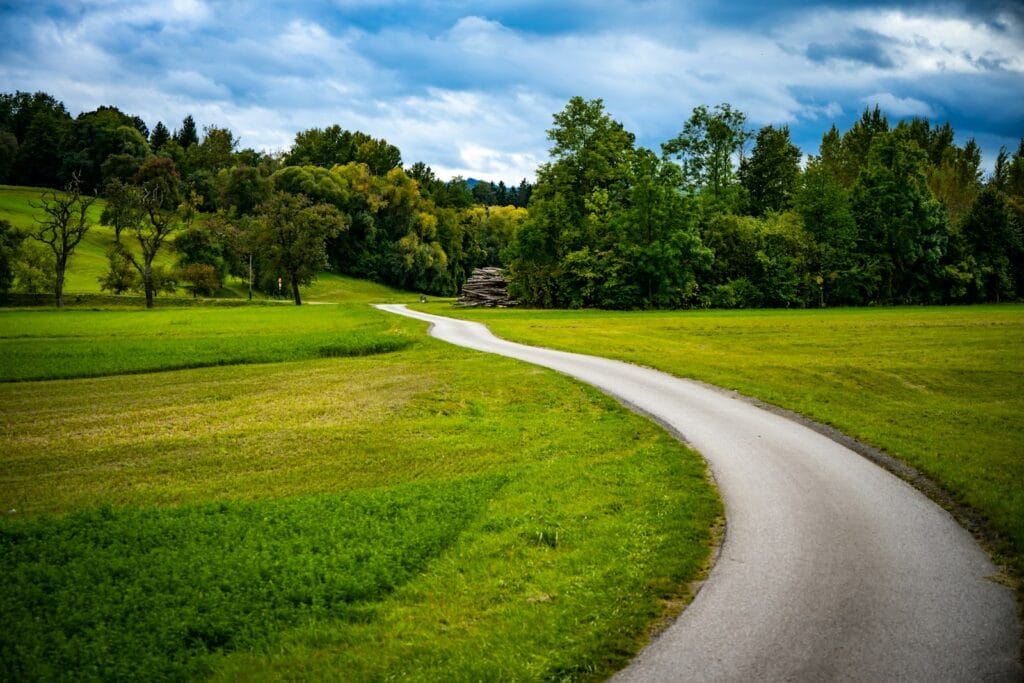 A winding road through green fields and trees.